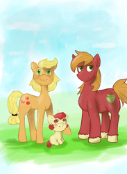 Size: 3000x4100 | Tagged: safe, artist:slytherinakatsuki, apple bloom, applejack, big macintosh, pony, g4, apple siblings, brother and sister, female, hatless, high res, male, missing accessory, sisters, younger