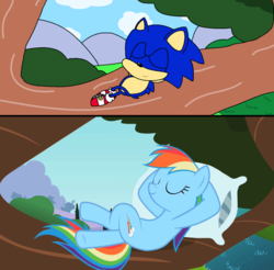 Size: 1024x1008 | Tagged: safe, artist:harmonybunny2021, rainbow dash, pony, g4, crossover, male, redraw, resting, screenshots, sonic the hedgehog, sonic the hedgehog (series)