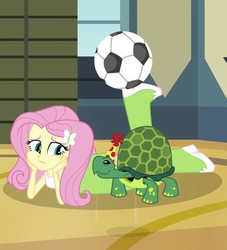 Size: 646x713 | Tagged: safe, screencap, fluttershy, tortoise, equestria girls, g4, my little pony equestria girls: rainbow rocks, shake your tail, boots, clothes, cropped, duo, female, football, hat, party hat, sad, shoes, skirt