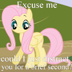 Size: 400x400 | Tagged: safe, edit, edited screencap, screencap, fluttershy, pegasus, pony, friendship is magic, g4, season 1, animated, bronybait, cropped, cute, female, frown, gif, horses doing horse things, image macro, looking down, meme, pawing the ground, red dwarf, shifty eyes, shy, solo