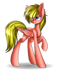 Size: 1600x1955 | Tagged: safe, artist:snowbunny0820, oc, oc only, oc:finn, pegasus, pony, male, raised hoof, simple background, solo, stallion, transparent background