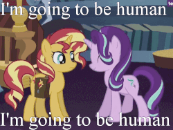 Size: 500x375 | Tagged: safe, edit, edited screencap, screencap, starlight glimmer, sunset shimmer, pony, unicorn, equestria girls, equestria girls specials, g4, my little pony equestria girls: mirror magic, animated, excited, female, gif, image macro, jumping, meme, pronking