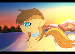 Size: 1800x1320 | Tagged: safe, artist:fkk, oc, oc only, oc:dawnsong, earth pony, pony, collar, female, glasses, mare, outdoors, snow, sunrise, ych result