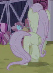 Size: 186x256 | Tagged: safe, screencap, big macintosh, cheerilee, cup cake, fluttershy, earth pony, pegasus, pony, 28 pranks later, g4, butt, cropped, female, flutterbutt, mare, plot, rainbow muzzle