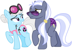 Size: 4300x3000 | Tagged: safe, artist:cheezedoodle96, hoity toity, photo finish, earth pony, pony, g4, .svg available, alternate hairstyle, bikini, clothes, cutie mark, eye contact, female, hair bun, high res, looking at each other, male, mare, missing accessory, photoity, shipping, show accurate, simple background, speedo, stallion, straight, string bikini, sunglasses, svg, swimsuit, transparent background, vector, walking