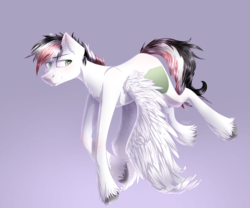 Size: 3000x2500 | Tagged: safe, artist:wacky-skiff, oc, oc only, pegasus, pony, colored pupils, ear fluff, flying, gradient background, high res, male, purple background, solo, stallion, unshorn fetlocks, wing fluff