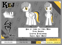Size: 1280x938 | Tagged: safe, artist:justisanimation, oc, oc only, oc:kej, pegasus, pony, male, reference sheet, solo, stallion, vector