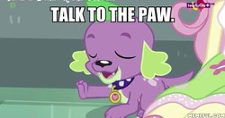 Size: 600x317 | Tagged: safe, edit, edited screencap, screencap, fluttershy, spike, spike the regular dog, dog, equestria girls, equestria girls specials, g4, my little pony equestria girls: dance magic, eyes closed, memeful.com, open mouth, talk to the hand, talk to the paw, teletoon