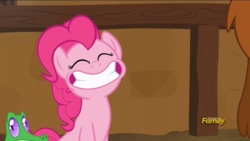 Size: 1920x1080 | Tagged: safe, screencap, gummy, pinkie pie, prince rutherford, pony, not asking for trouble, cute, diapinkes, discovery family logo, faic, smiling