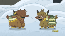 Size: 1920x1080 | Tagged: safe, screencap, yona's brother, pony, yak, not asking for trouble, calf, cloven hooves, discovery family logo, duo, female, horn ring, male, snow, yak calf, yakyakistan