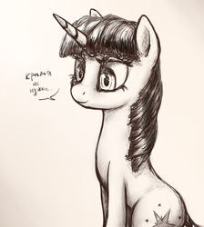 Size: 1280x1426 | Tagged: safe, artist:plotcore, twilight sparkle, pony, unicorn, g4, dialogue, female, grayscale, monochrome, russian, sitting, smiling, solo, translated in the comments