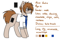 Size: 2181x1440 | Tagged: safe, artist:despotshy, oc, oc only, oc:vadim, earth pony, pony, brown eyes, brown mane, clothes, glasses, male, ponysona, reference sheet, solo, stallion