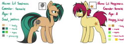 Size: 4000x1440 | Tagged: safe, artist:despotshy, oc, oc only, oc:lil happiness, oc:lil sadness, earth pony, pony, color palette, female, mare, reference sheet, simple background, sisters, transparent background