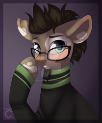 Size: 800x960 | Tagged: safe, artist:midnightdream123, oc, oc only, oc:atomic bomb, pony, clothes, glasses, male, solo, stallion, watermark