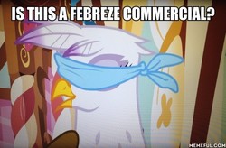 Size: 600x393 | Tagged: safe, edit, edited screencap, screencap, gilda, griffon, pony, g4, griffon the brush off, blindfold, febreze, meme, memeful.com