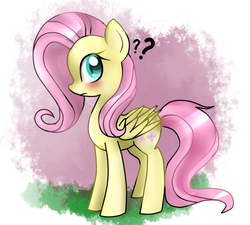 Size: 1000x900 | Tagged: safe, anonymous artist, fluttershy, pegasus, pony, g4, blushing, female, mare, question mark, solo