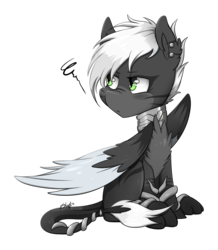 Size: 1541x1767 | Tagged: safe, artist:midnightpremiere, oc, oc only, oc:pollux, pony, simple background, solo, transparent background