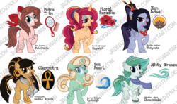 Size: 1600x948 | Tagged: safe, artist:jadedjynx, oc, oc only, oc:cleotrotra, oc:floral paradise, oc:misty breeze, oc:petra trim, oc:sea pearl, oc:zen lotus, pony, ankh, comb, cutie mark, hibiscus, mirror, simple background, transparent background, watermark