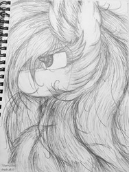 Size: 2951x3928 | Tagged: safe, artist:vanillaswirl6, rainbow dash, pegasus, pony, g4, big ears, bust, cheek fluff, chest fluff, ear fluff, female, fluffy, grayscale, high res, looking up, mare, messy mane, monochrome, portrait, signature, smiling, solo, traditional art