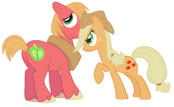 Size: 1609x1000 | Tagged: safe, artist:jennieoo, applejack, big macintosh, earth pony, pony, applebuck season, g4, applejack's hat, brother and sister, cowboy hat, duo, female, hat, male, mare, show accurate, simple background, stallion, transparent background, vector