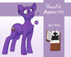 Size: 2041x1632 | Tagged: safe, artist:marsminer, oc, oc only, oc:peaceful memories, pony, reference sheet, solo