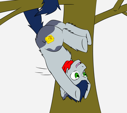 Size: 3600x3200 | Tagged: safe, artist:jolliapplegirl, oc, oc only, oc:nightshade, earth pony, pony, adopted offspring, art trade, hanging, hanging upside down, high res, male, next generation, parent:applejack, prehensile tail, solo