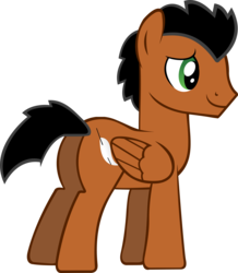 Size: 5225x5982 | Tagged: safe, artist:fenrirconnell, oc, oc only, oc:airswirl, pony, absurd resolution, simple background, solo, transparent background, vector