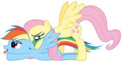 Size: 9787x5000 | Tagged: safe, artist:rubez2525, fluttershy, rainbow dash, pegasus, pony, g4, .ai available, absurd resolution, female, lesbian, mare, open mouth, ship:flutterdash, shipping, simple background, tongue out, transparent background, vector