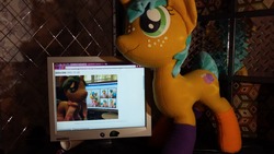 Size: 3264x1836 | Tagged: safe, artist:lumenglace, snails, pony, g4, clothes, glitter shell, inception, irl, photo, plushie, snals, socks