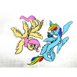 Size: 1080x1080 | Tagged: safe, artist:hotkoin, fluttershy, rainbow dash, pony, g4, multiple wings, wat, wings