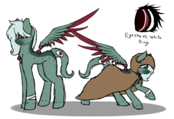 Size: 1024x701 | Tagged: safe, artist:fizzy2014, oc, oc only, oc:thiver, pegasus, pony, cloak, clothes, female, floating wings, mare, reference sheet, simple background, solo, transparent background
