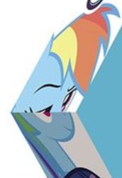 Size: 741x1079 | Tagged: safe, rainbow dash, pony, g4, cropped, faic, female, merchandise, needs more jpeg, solo, wat