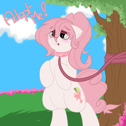 Size: 3000x3000 | Tagged: safe, artist:saralien, oc, oc only, oc:miwako, earth pony, pony, blushing, collar, cute, female, high res, solo