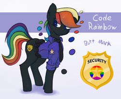 Size: 2144x1759 | Tagged: safe, artist:marsminer, oc, oc only, oc:code rainbow, pony, female, reference sheet, solo