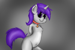 Size: 1280x851 | Tagged: safe, artist:rainyvisualz, oc, oc only, oc:pipsicle, pony, belly button, bipedal, chest fluff, collar, cookie, food, hair, hooves behind back, human shoulders, shading, solo