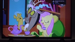 Size: 2560x1440 | Tagged: safe, screencap, discord, fluttershy, pony, discordant harmony, g4, boomerang (tv channel), photo, picture of a screen