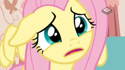 Size: 2560x1440 | Tagged: safe, screencap, fluttershy, pegasus, pony, discordant harmony, g4, boomerang (tv channel), cute, female, floppy ears, mare, open mouth, sad, shyabetes, solo