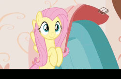 Size: 704x458 | Tagged: safe, edit, edited screencap, screencap, fluttershy, pegasus, pony, discordant harmony, g4, animated, blanket, boomerang (tv channel), caption, chair, cute, discord's house, dresser, female, flying, gif, grandfather clock, implied discord, levitation, magic, mare, shipping fuel, shyabetes, solo, telekinesis, text