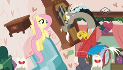 Size: 704x400 | Tagged: safe, screencap, discord, fluttershy, draconequus, pegasus, pony, discordant harmony, g4, blanket, boomerang (tv channel), bush, candle, chair, clothes, curtains, cute, discord's house, discute, dresser, female, flower, flying, ginseng teabags, glasses, grandfather clock, grin, heart, levitation, magic, mare, mirror, necktie, pants, shyabetes, singing, smiling, suit, teabag, telekinesis, when he smiles