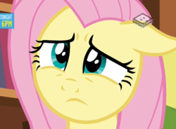 Size: 782x576 | Tagged: safe, screencap, fluttershy, pony, discordant harmony, g4, boomerang (tv channel), concerned, cropped, female, mare, solo