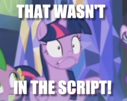 Size: 476x378 | Tagged: safe, edit, edited screencap, screencap, spike, twilight sparkle, alicorn, dragon, pony, a royal problem, g4, animated actors, cropped, image macro, meme, shocked, twilight sparkle (alicorn)