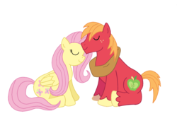 Size: 1280x960 | Tagged: safe, artist:dreamy-tommy, big macintosh, fluttershy, earth pony, pegasus, pony, g4, eyes closed, female, male, mare, ship:fluttermac, shipping, simple background, stallion, straight, transparent background, vector