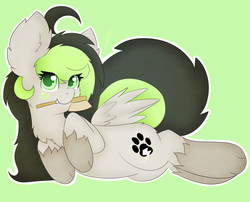 Size: 3000x2421 | Tagged: safe, artist:pegamutt, oc, oc only, oc:bree jetpaw, dog pony, pony, brushie, coat markings, fluffy, high res, mouth hold, paw prints, paws, socks (coat markings)