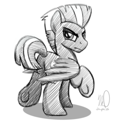 Size: 3375x3375 | Tagged: safe, artist:drawponies, thunderlane, pegasus, pony, g4, annoyed, butt, grayscale, high res, male, monochrome, plot, sketch, solo, stallion, thunderbutt, thunderlane is not amused, unamused, underhoof