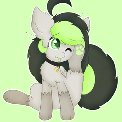 Size: 3000x3000 | Tagged: safe, artist:pegamutt, oc, oc only, oc:bree jetpaw, dog pony, pony, askbreejetpaw, collar, fluffy, high res, paw pads, paws, scratching, tongue out