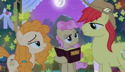 Size: 923x534 | Tagged: safe, screencap, bright mac, mayor mare, pear butter, earth pony, pony, g4, the perfect pear, book, female, freckles, lidded eyes, looking at each other, male, mare, mare in the moon, marriage, moon, night, non-dyed mayor, ship:brightbutter, stallion, trio, wedding, younger