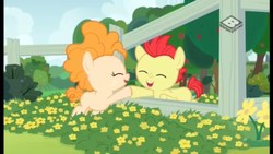 Size: 2560x1440 | Tagged: safe, screencap, bright mac, pear butter, earth pony, pony, g4, the perfect pear, female, foal, male, ship:brightbutter, shipping, straight