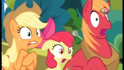Size: 2560x1440 | Tagged: safe, screencap, apple bloom, applejack, big macintosh, earth pony, pony, g4, the perfect pear, lip bite, male, open mouth, shocked, stallion, wide eyes