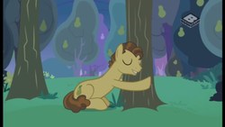 Size: 2560x1440 | Tagged: safe, screencap, grand pear, earth pony, pony, g4, the perfect pear, eyes closed, hug, male, pear orchard, pear tree, solo, stallion, tree, younger