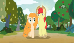 Size: 625x364 | Tagged: safe, screencap, bright mac, pear butter, earth pony, pony, g4, the perfect pear, animated, apple tree, boomerang (tv channel), female, four seasons, gif, male, mare, orchard, pear tree, ship:brightbutter, speed up, stallion, straight, tree